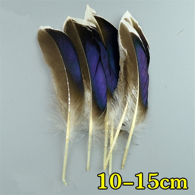 Natural Peacock Feather Pheasant Feathers for Crafts Ostrich Feathers Jewelry Making Christmas Holiday Decoration Plumes Plumas