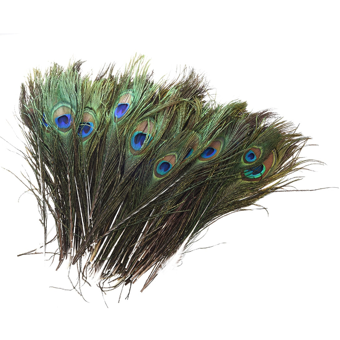 100 Pcs Peacock Feathers 10"-12"