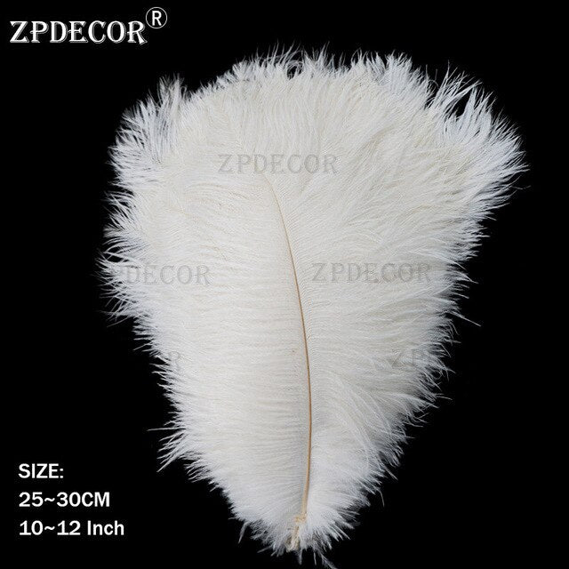 10-12 Inch  25-30CM  Frist-Grade Ostrich Feather for DIY Jewelry Craft Making