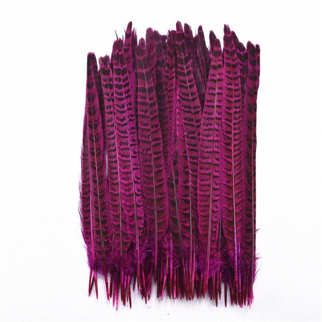 10Pcs/Lot Female Pheasant Tail Feathers For Crafts 25-30CM/10-12" Natural Pheasant Feather Wedding Feathers Decoration Carnival