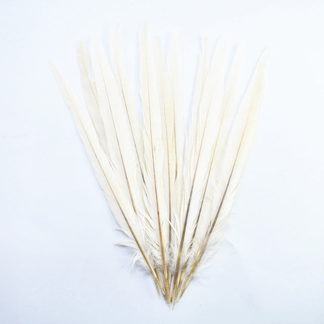 10Pcs/Lot Female Pheasant Tail Feathers For Crafts 25-30CM/10-12" Natural Pheasant Feather Wedding Feathers Decoration Carnival