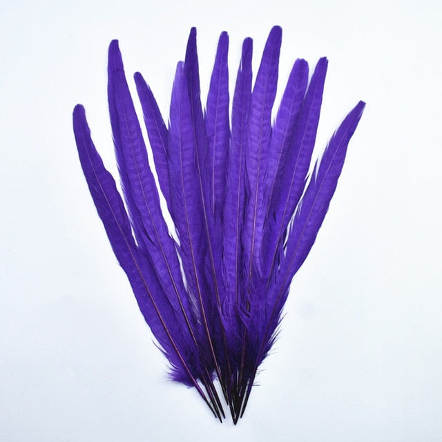10Pcs/Lot Female Pheasant Tail Feathers For Crafts 25-30CM/10-12" Natural Pheasant Feather Wedding Feathers Decoration Carnival