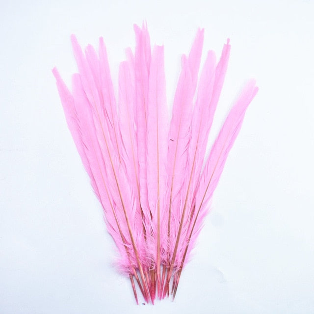 10Pcs/Lot Female Pheasant Tail Feathers For Crafts 25-30CM/10-12" Natural Pheasant Feather Wedding Feathers Decoration Carnival