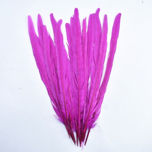 10Pcs/Lot Female Pheasant Tail Feathers For Crafts 25-30CM/10-12" Natural Pheasant Feather Wedding Feathers Decoration Carnival